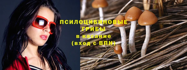 не бодяженный Кинешма